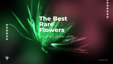 معرفی بهترین گل‌ های نادر در جهان
