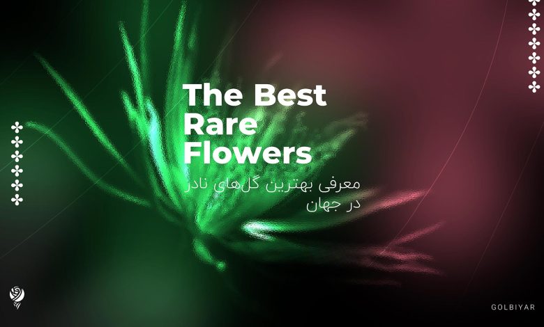 معرفی بهترین گل‌ های نادر در جهان