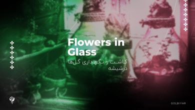 کاشت و نگهداری گل‌ ها در شیشه