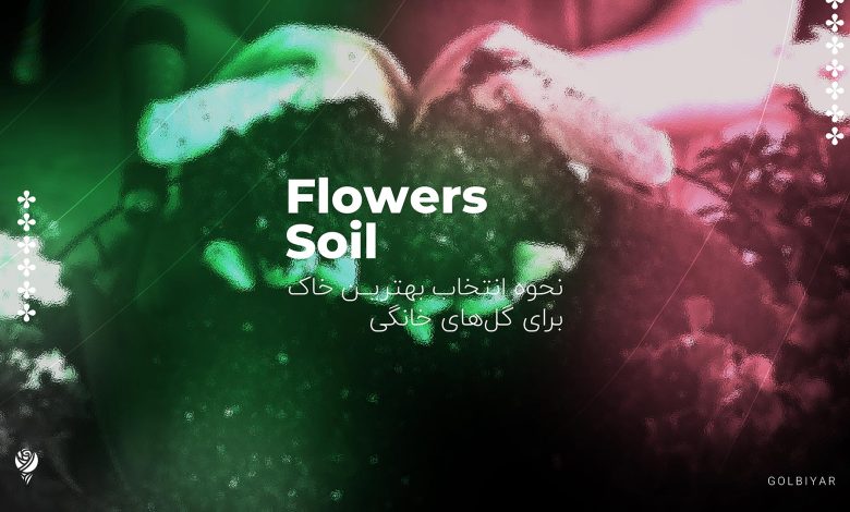 بهترین خاک برای گل های خانگی
